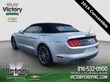Used 2019 Ford Mustang Premium w/ Equipment Group 201A image 4