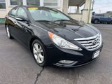 Used 2011 Hyundai Sonata Limited image 5