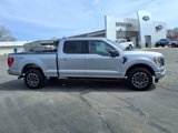 Used 2023 Ford F150 XLT w/ Equipment Group 302A High image 2