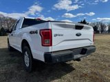 Used 2015 Ford F150 XL w/ XL Power Equipment Group image 4