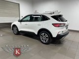 Used 2022 Ford Escape SEL image 4