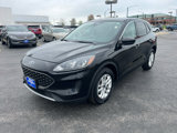 Used 2020 Ford Escape SE image 4