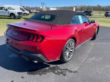 Certified 2024 Ford Mustang GT Premium image 2