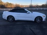 Used 2017 Ford Mustang Premium image 2