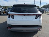 Used 2025 Hyundai Tucson SEL image 5