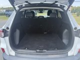 Used 2022 Ford Escape SEL image 5