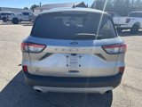 Used 2022 Ford Escape SEL image 4