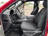 Used 2020 Ford F150 XLT w/ Equipment Group 302A Luxury image 3