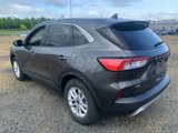 Used 2020 Ford Escape SE image 2