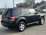 Used 2011 Ford Escape XLT w/ 201A Rapid Spec Order Code image 4