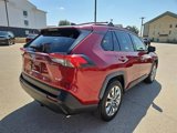 Used 2020 Toyota RAV4 XLE Premium image 4