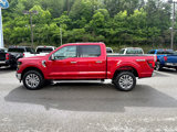 New 2025 Ford F150 XLT w/ Equipment Group 302A MID image 2