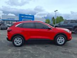 Used 2024 Ford Escape Active w/ Tech Pack #1 image 5