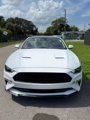 Used 2021 Ford Mustang Premium w/ Equipment Group 201A image 4