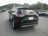 Certified 2022 Ford Escape SE w/ Convenience Package image 5