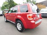 Used 2010 Ford Escape Limited image 3