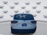 New 2025 Ford Escape ST-Line image 4