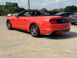 Used 2016 Ford Mustang Premium w/ Equipment Group 201A image 4