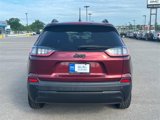 Used 2019 Jeep Cherokee Latitude Plus image 4