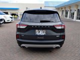 Used 2020 Ford Escape SE image 4