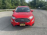 Used 2020 Ford EcoSport SE image 2