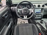 Used 2020 Ford Mustang GT w/ Equipment Group 301A image 3