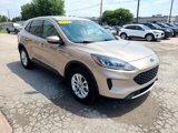 Used 2020 Ford Escape SE image 3