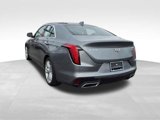 Used 2020 Cadillac CT4 Luxury w/ Sun And Sound Package image 4