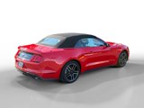 Certified 2023 Ford Mustang Premium image 5