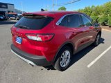 Certified 2022 Ford Escape SE w/ Convenience Package image 4