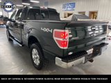 Used 2013 Ford F150 XLT w/ Luxury Equipment Group image 5