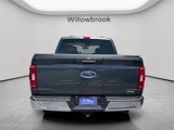 Certified 2021 Ford F150 XLT w/ Equipment Group 302A High image 4