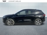Used 2024 Ford Escape ST-Line image 5
