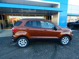 Used 2020 Ford EcoSport SE image 2