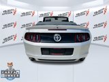 Used 2014 Ford Mustang Premium w/ Equipment Group 203A image 4