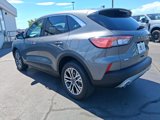 Used 2022 Ford Escape SEL image 5