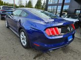 Used 2015 Ford Mustang Coupe image 6