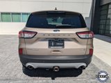Used 2020 Ford Escape Titanium image 5