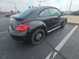 Used 2019 Volkswagen Beetle 2.0T S image 5