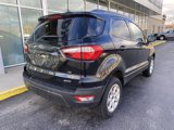 Used 2020 Ford EcoSport SE image 4