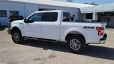 Used 2019 Ford F150 Lariat image 6