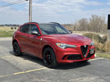 Used 2019 Alfa Romeo Stelvio Quadrifoglio w/ Driver Assist Dynamic Package image 3