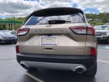 Used 2020 Ford Escape SE image 4