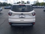 Used 2017 Ford Escape Titanium image 4