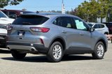 Used 2022 Ford Escape SE image 5