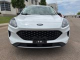 Used 2022 Ford Escape SE image 5