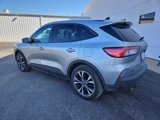 Used 2022 Ford Escape SE w/ SE Sport Appearance Package image 4