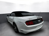 Used 2015 Ford Mustang Premium image 4