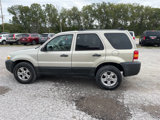 Used 2005 Ford Escape XLT image 6
