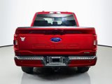 Used 2021 Ford F150 XLT w/ Equipment Group 302A High image 6